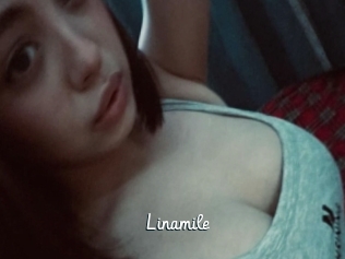 linamile Galerie du Sexe