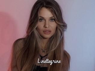 Linettegrine