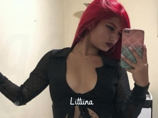 littiina Galerie du Sexe
