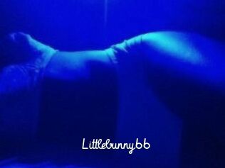 Littlebunny66