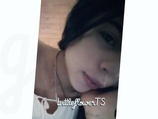 LittleflowerTS