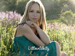 Littlewildkitty