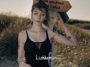 Lizhkamics