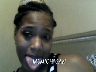 MSMICHIGAN