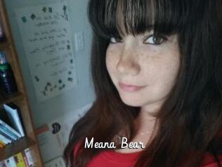 Meana_Bear