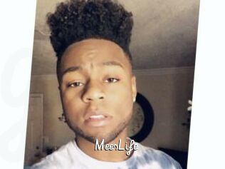 MeesLife