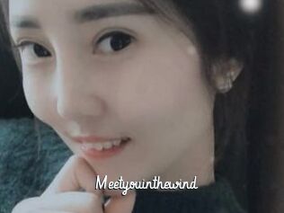 Meetyouinthewind