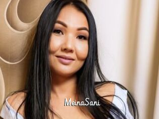 MeinaSani
