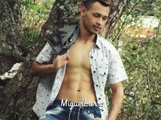 MiguelLarry