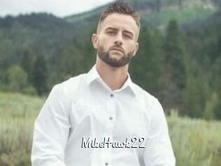MikeHawk22