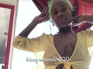 Minnysotawinter500