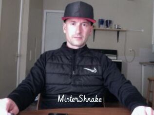 MisterShnake