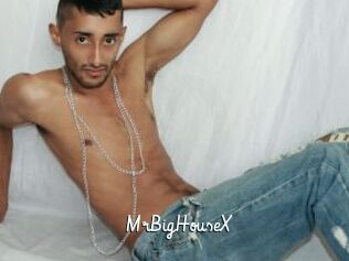 MrBigHouseX