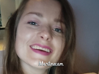 Martinecam