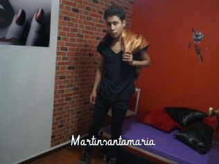 Martinsantamaria