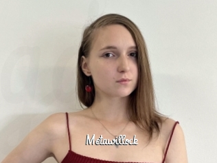 Metawillock