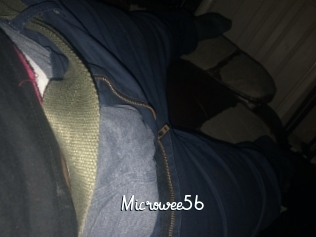 Microwee56