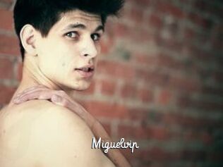Miguelvip
