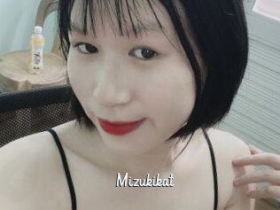 Mizukikat