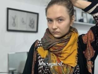 Moiregodsil