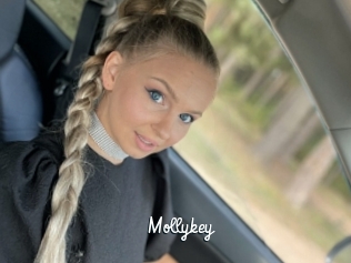 Mollykey