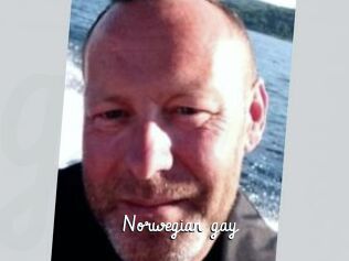 Norwegian_gay