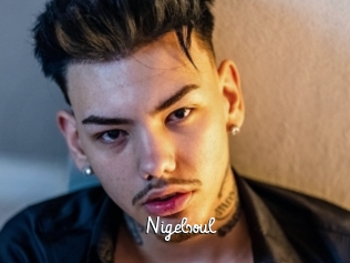 Nigelsoul