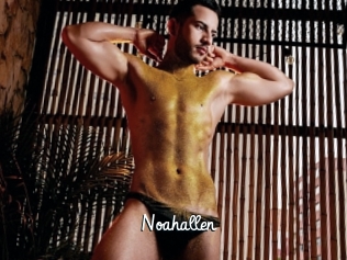 noahallen Galerie du Sexe