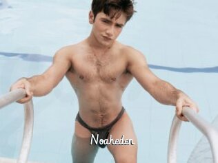 Noaheden