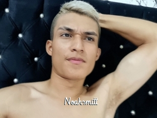 Noahsmitt