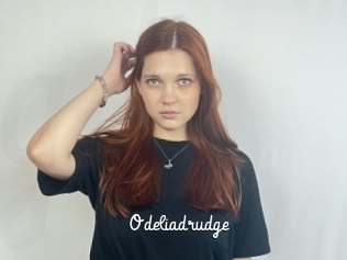 Odeliadrudge