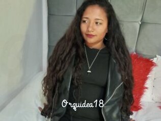 Orquidea18