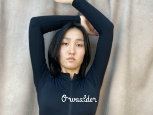 Orvaalder
