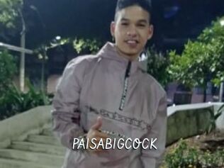 PAISABIGCOCK