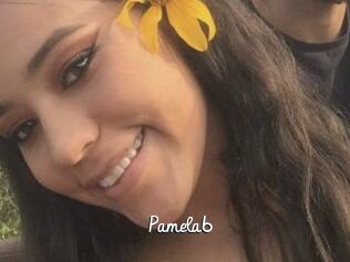 Pamela6