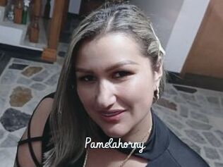 Pamelahorny Galerie du Sexe