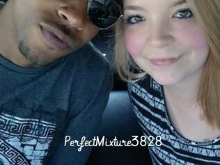 PerfectMixture3828