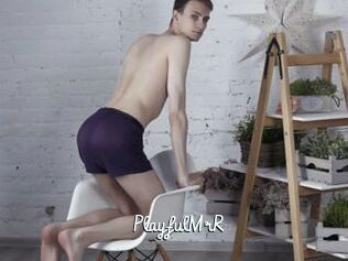 PlayfulMrR