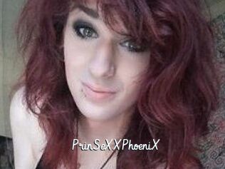 PrinSeXXPhoeniX Galerie du Sexe