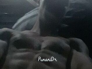 PunaniDr