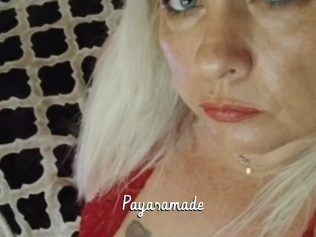 Payasamade