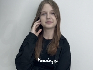 Peacebigge