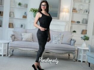 Penelopedj