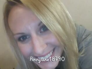 Pennylane18790