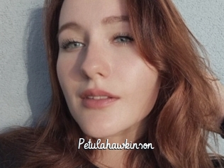 Petulahawkinson