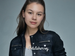 Petulahersey