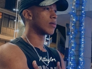 pittaylor Galerie du Sexe