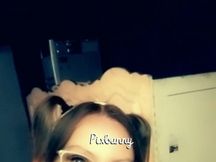 Pixbunny