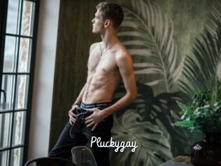 Pluckygay