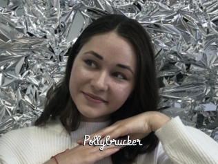 Pollybrucker